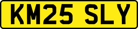 KM25SLY