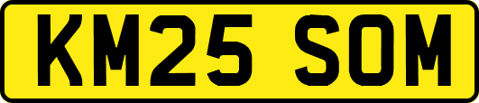 KM25SOM