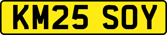 KM25SOY