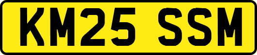 KM25SSM