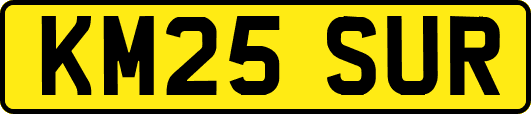 KM25SUR