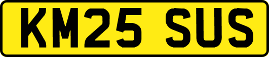 KM25SUS