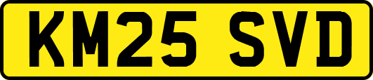 KM25SVD