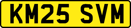 KM25SVM