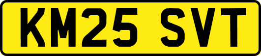KM25SVT