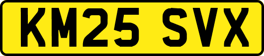 KM25SVX
