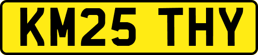 KM25THY
