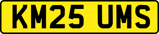 KM25UMS