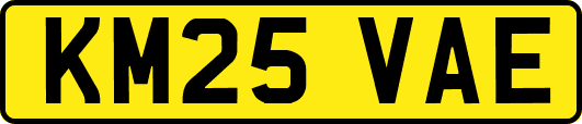 KM25VAE
