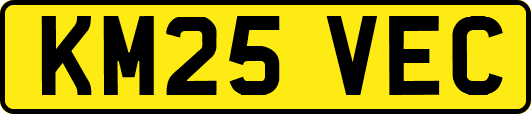 KM25VEC