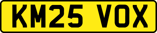 KM25VOX