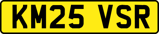 KM25VSR