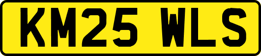 KM25WLS