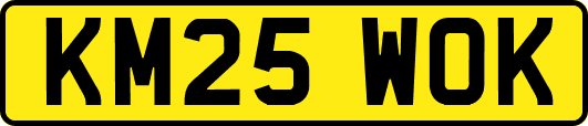 KM25WOK