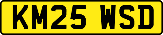 KM25WSD