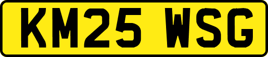 KM25WSG