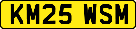 KM25WSM