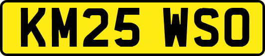 KM25WSO
