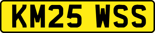 KM25WSS