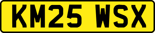 KM25WSX