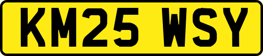 KM25WSY