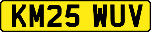 KM25WUV