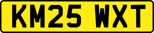 KM25WXT