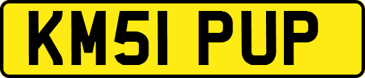 KM51PUP