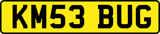 KM53BUG