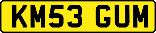 KM53GUM