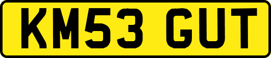 KM53GUT