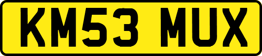 KM53MUX