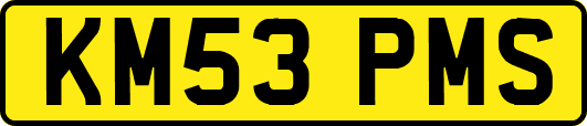 KM53PMS
