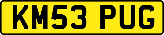 KM53PUG