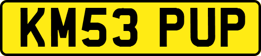 KM53PUP