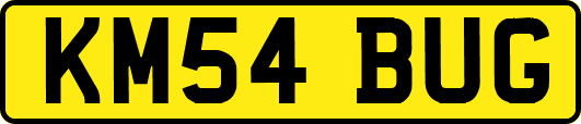 KM54BUG