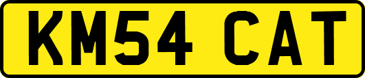 KM54CAT
