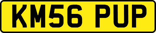 KM56PUP