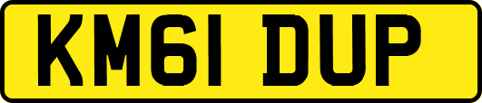 KM61DUP