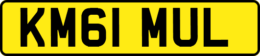 KM61MUL