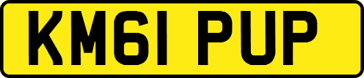 KM61PUP