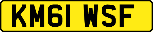 KM61WSF