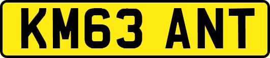 KM63ANT