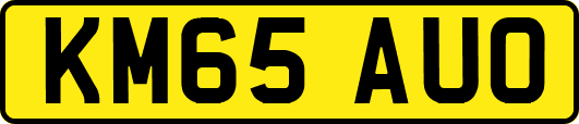 KM65AUO