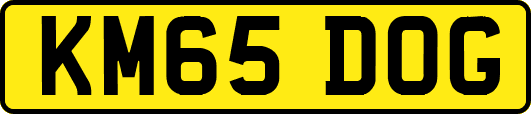 KM65DOG