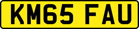 KM65FAU