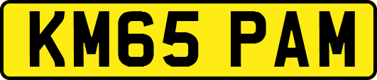 KM65PAM