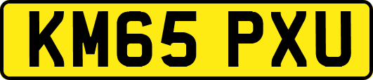 KM65PXU