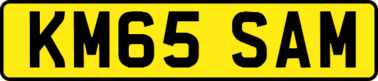 KM65SAM