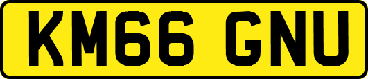 KM66GNU